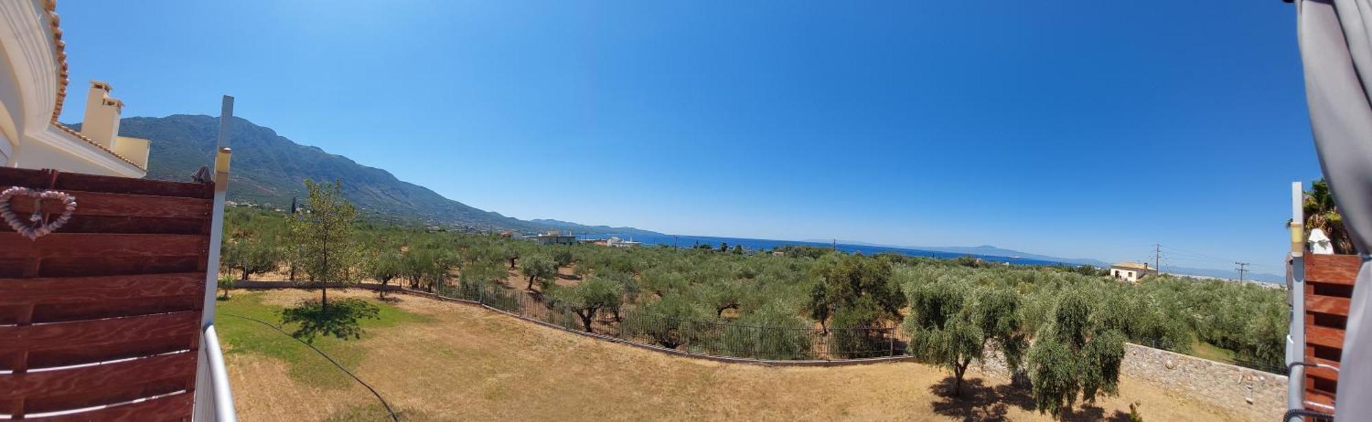 Elea * Kalamata